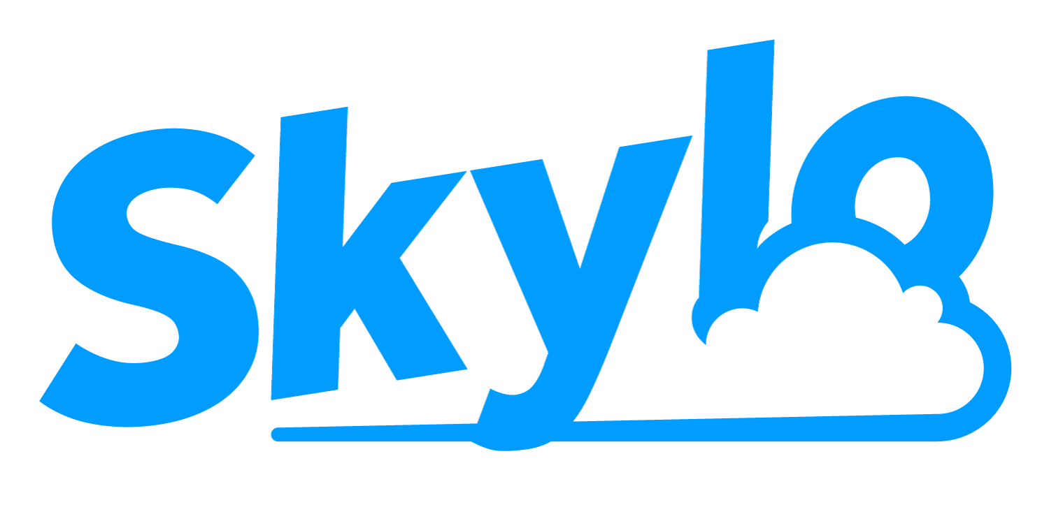 Skylo Detailing, formerly Squeegee Boys